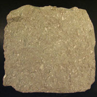 bentonite