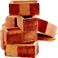 bricks